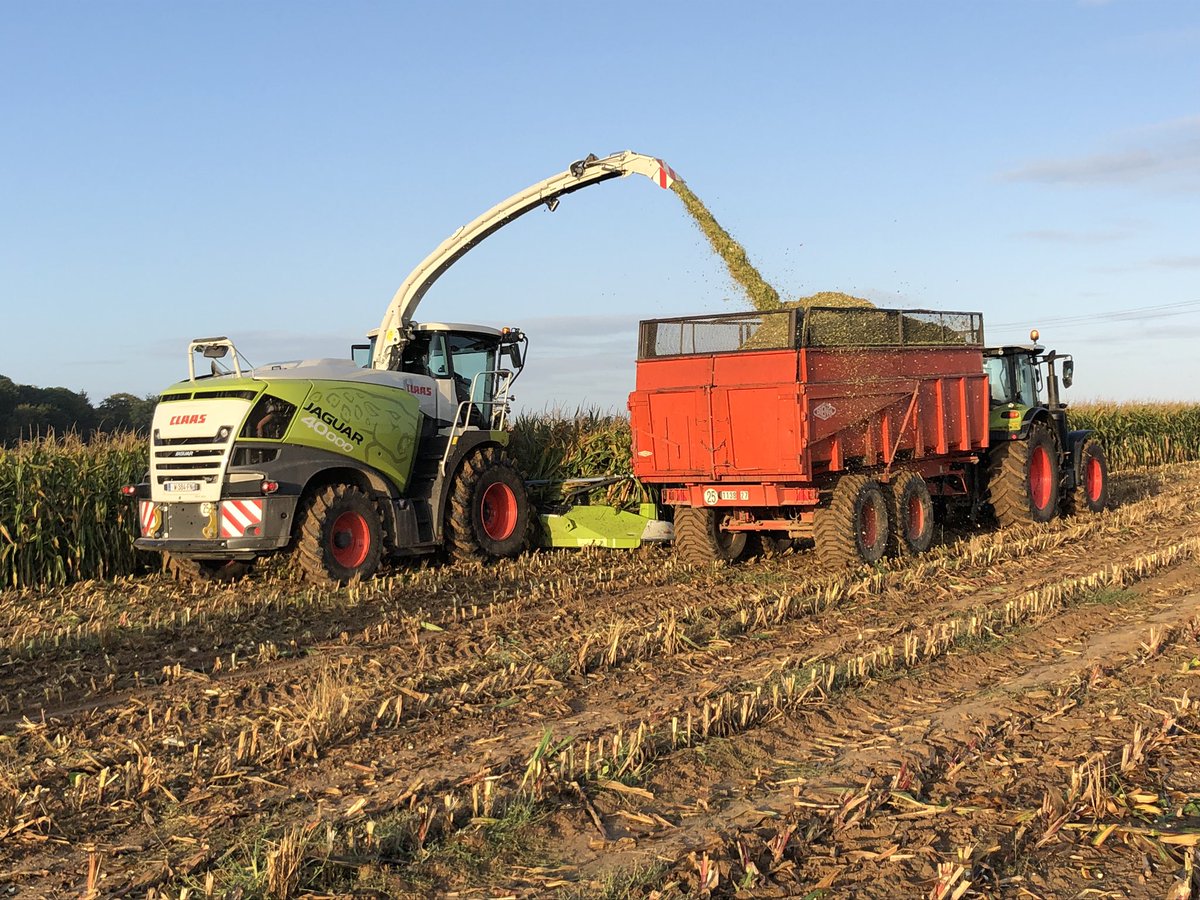CLAASFrance's tweet photo. Après la Bourgogne notre #ensileuse #CLAAS #Jaguar 940 avec son #orbis 600sd fait des prouesses en Normandie 🌽💨

#CLAASPower #harvestingthefuture #worldleader #ensileuse #ensilage #demo https://t.co/lbCeRfwK46