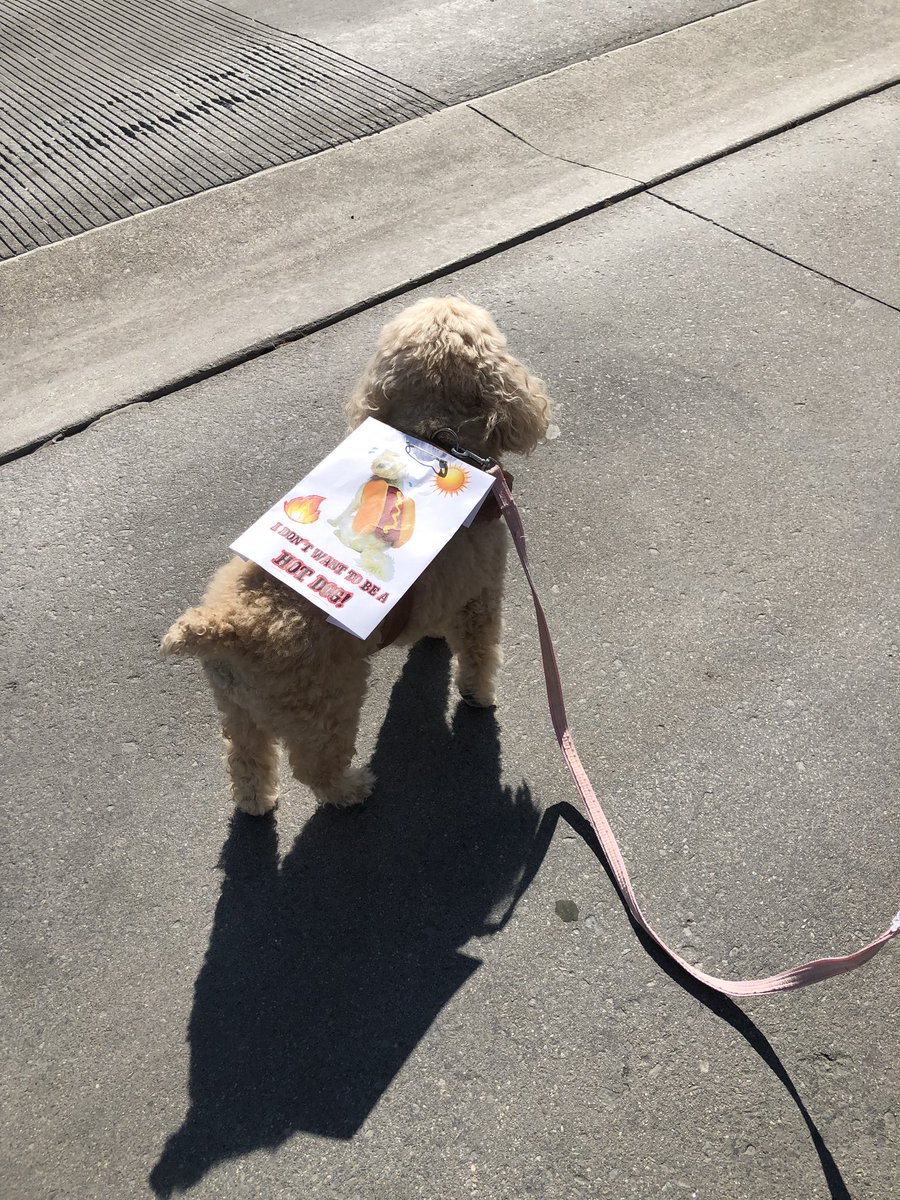 Global climate strike #climatestrike #idontwanttobeahotdog #bestsign