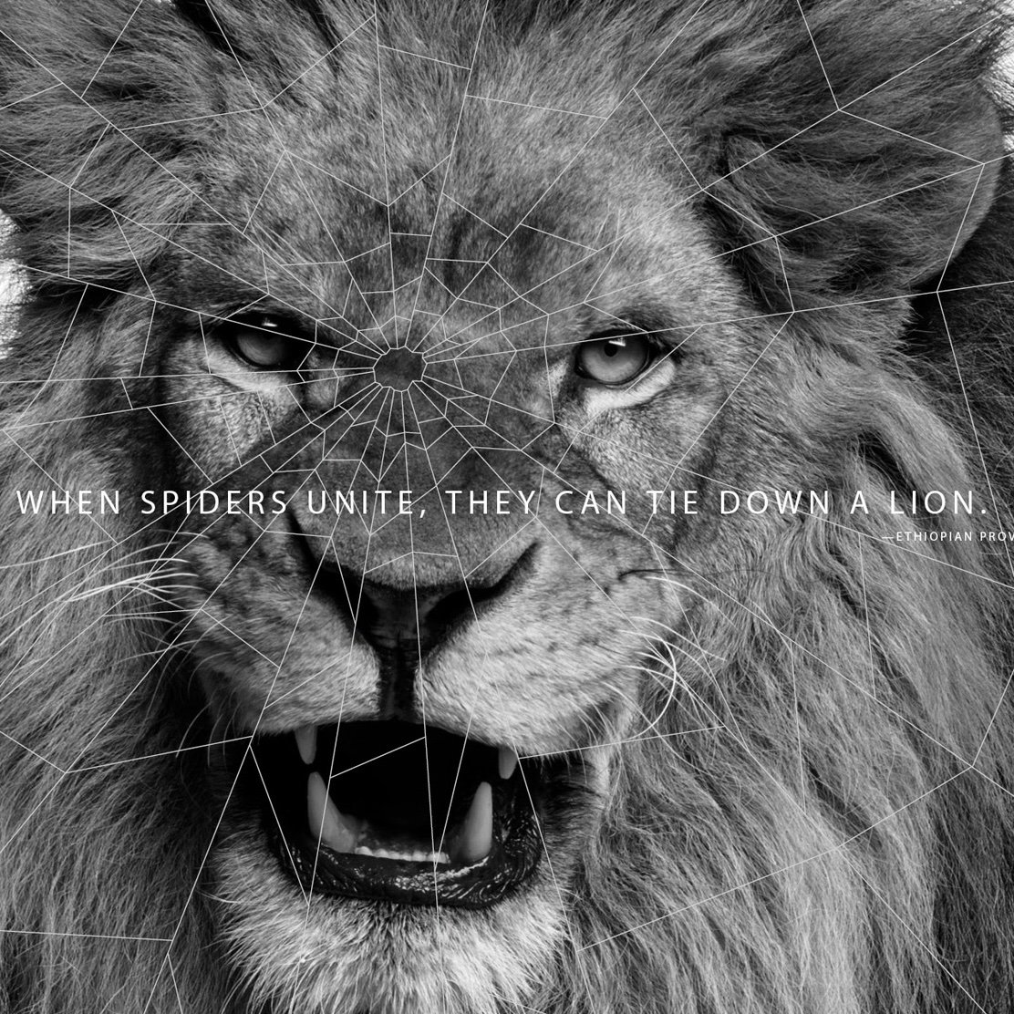 CommUnity' limited edition poster designed by 
<a href="/StudioHinrichs/">Kit Hinrichs</a> for <a href="/AIGAdesign/">AIGA</a>, <a href="/sfdesignweek/">San Francisco Design Week</a> and <a href="/wearemucho/">Mucho</a>

Limited editions of this poster are available for purchase! 
plotnetprints.com/poster/communi…