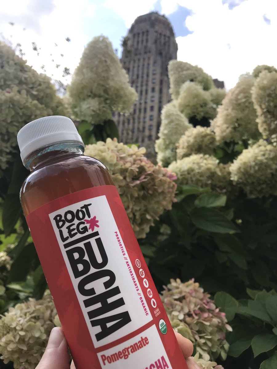 jbethjs's tweet image. My favorite afternoon pick-me-up = #kombucha. @Bootlegbucha is by far the best brand out there too. 🤩