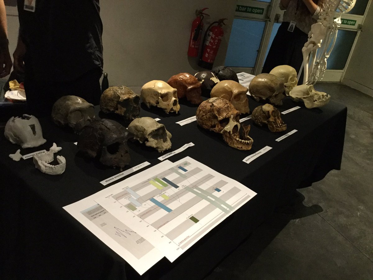 NHM Anthropology tweet media