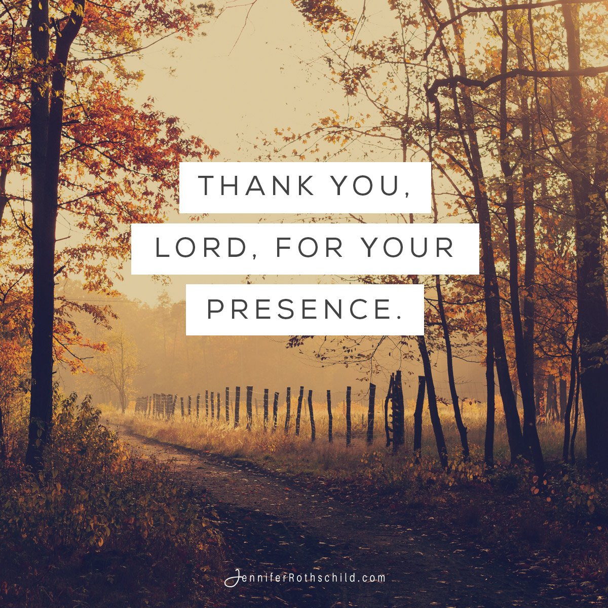 jennrothschild's tweet photo. God is with you, right here, right now. No matter what you face, you do not face it alone. So, ask Him to overwhelm you with His presence today. He will make a path of peace for you to walk on and lovingly assure you that you are not forsaken or abandoned. https://t.co/Ghnmikog1s