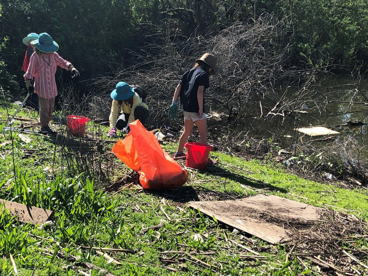 DeltaConservncy's tweet image. The Delta is resilient! "The Delta provides us a space for ground-breaking research, monitoring efforts and restoration efforts. It can recover it's ecological features and sustain habitat for vital biota to flourish." -Kit Sandhu, Delta Conservancy #DeltaWeek #TheDeltaIs