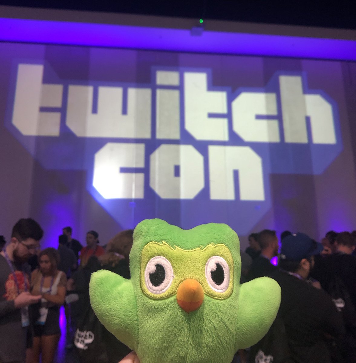 Duolingo Plushie / The Duolingo Owl Is Always Watching Teenagers - Melba Miscacer