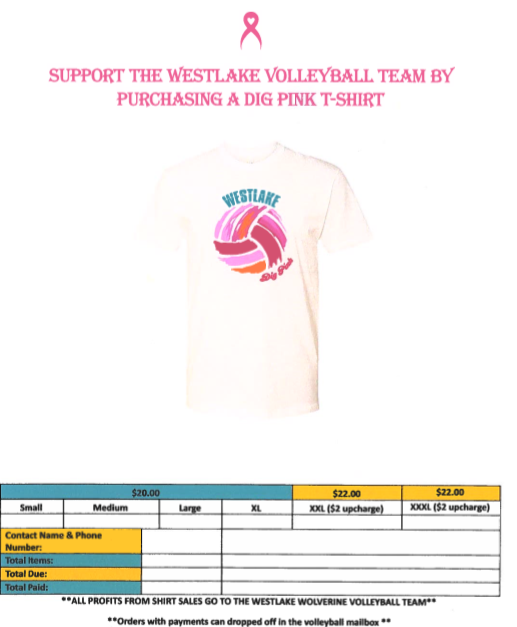 Support Breast Cancer Awareness Month and the Westlake Volleyball Team by purchasing a t-shirt at any home game. Come to the Dig Deep game on October 11th! 
<a href="/vbwestlake/">Westlake Volleyball</a>
<a href="/Westlake_HS/">Westlake High School</a>
<a href="/CCPS/">Charles County Public Schools</a>