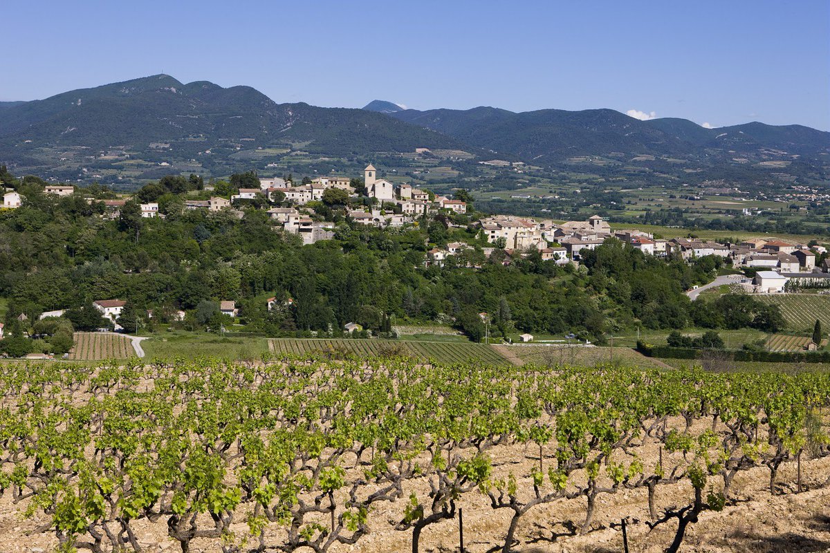 Translating to "God's Plain," the village of Plan de Dieu is known for its longevity and strength. This Cellier des Dauphins growing region along the Cotes du Rhone produces dense, concentrated red wines made from Grenache, Syrah and Mourvedre.