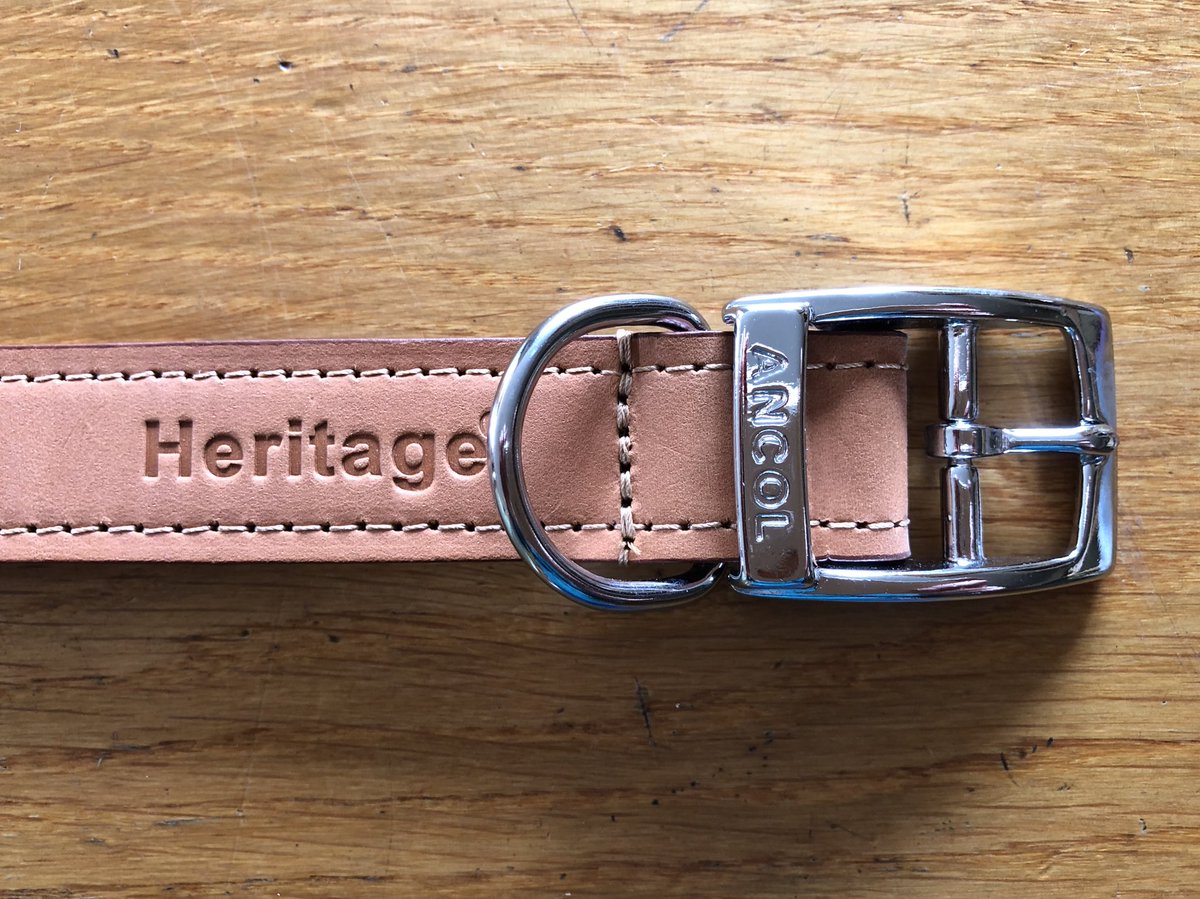 CountryCreat's tweet photo. ⭐️ GIVEAWAY TIME ⭐️

To be in with a chance of winning a leather dog collar from Ancol, simply do the following:

~ like this post
~ comment mentioning your friends who may like to enter
~ retweet
~ follow me! 

Comp runs over FB, Insta and Twitter and closes 31/10/19. https://t.co/hZN1cX1qZ0