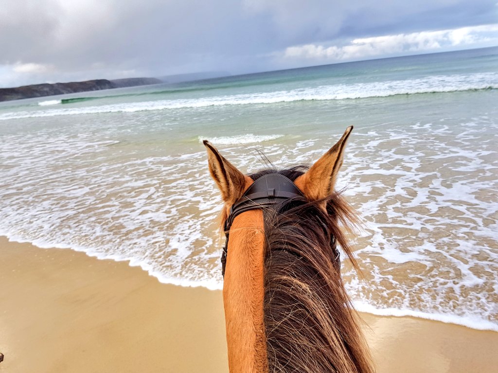 #Ad - What a way to finish a Friday - pony trekking along the stunning Traigh Mor beach on the Isle of Lewis in the sunshine 
#WestCoastWaters #immerseyoursenses