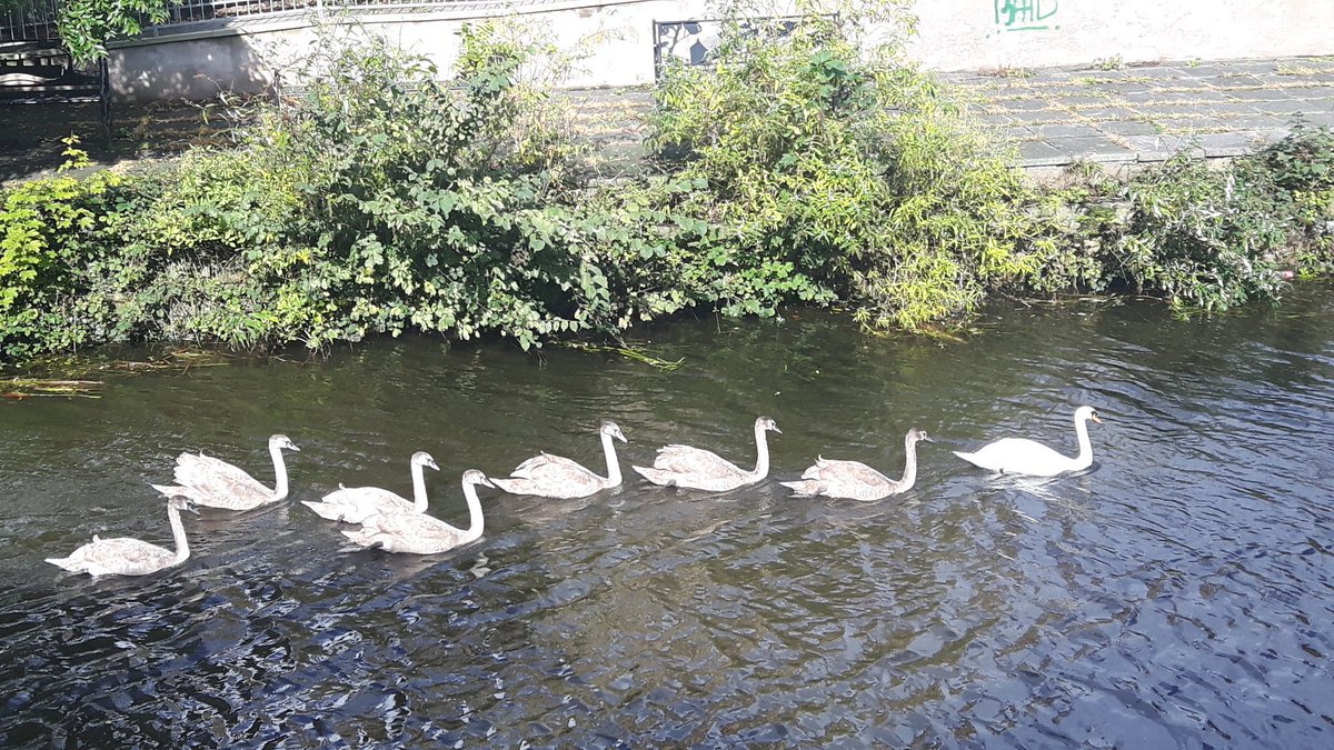 brooksy671's tweet photo. Always lovely to see a family on a day out #PreciousThoughts when you need to clear your own head
#MentalHealthMatters #MentalHealthAwareness https://t.co/9raJhztKzo
