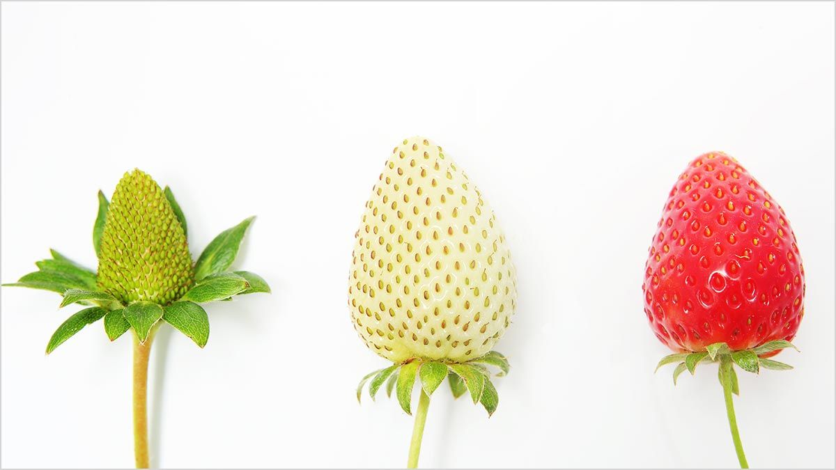 thedesignpac's tweet photo. “Categorizing the problems and growth patterns of small businesses in a systematic way that is useful to entrepreneurs seems at first glance a hopeless task. #BusinessGrowth #DesignPac ” https://t.co/5UNtcUZLE0 https://t.co/KYgGNkwTfW