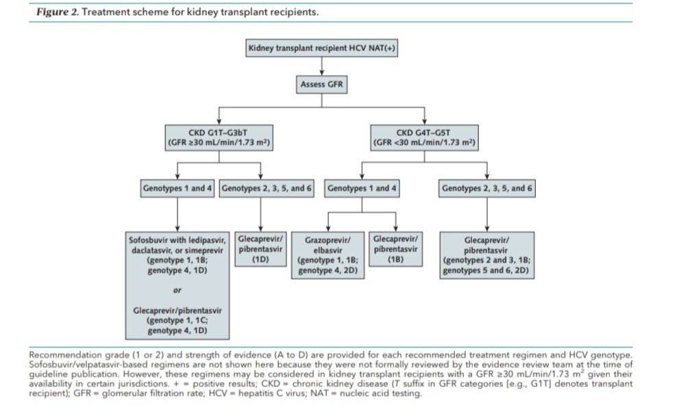 nefrologicos's tweet photo. #nefrolearning Prevención, diagnóstico, evaluación y tratamiento de infección por Hepatitis C en ERC: sinopsis de la guía KDIGO 2018.
¡Aspectos prácticos! @SENefrologia
@SOMANEorg @SVNefro @NefroHUVmaca @nefrocat doi:10.7326/M19-1539 https://t.co/shPMMUcshF