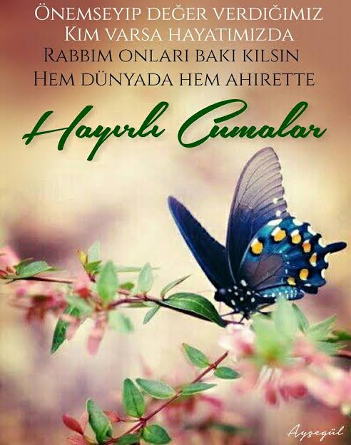 @murat_kocabay38 @lazyildiz34 @Aye27558098 @Delinin16 @generationnextf @gelhelegel04 @tam_Biraknefer @refrej @nawexezal @casper_kelam @kalbim__sesi @baskan_yesil @Ahmdkurt @TekinerBahattin @BilalUygr @duru34_su @Dilek20232023 @derda53yilmaz @GYosunlukaya @ibrahim06251 @mevliyaogluu @yasha_abbas @Aciz_Kul1453 Hayırlı cumalar Murat kardeşim..
Rahatsizdim twetter a girmedim bugün yeni gördüm
Allah razı olsun
Allah'a emanet sin 🙏🖐️