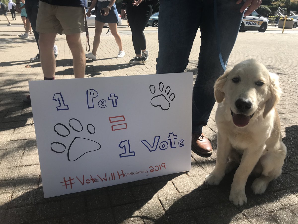 shultz_will's tweet photo. 🐶❤️ https://t.co/tQ8OEjx0Sc