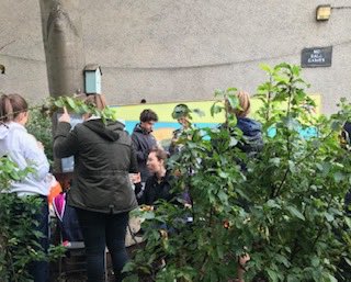 FettesService's tweet image. Fettes hard at work in Newhaven Community Garden.