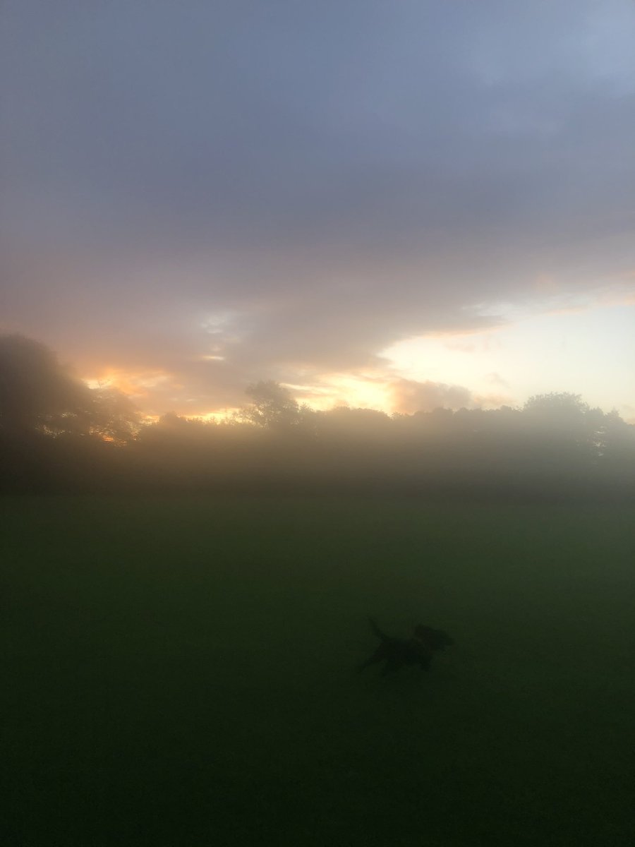 RowleyDonna's tweet photo. #bbcspringwatch #springeatch #autumnsky https://t.co/Ym3FyQtGSr