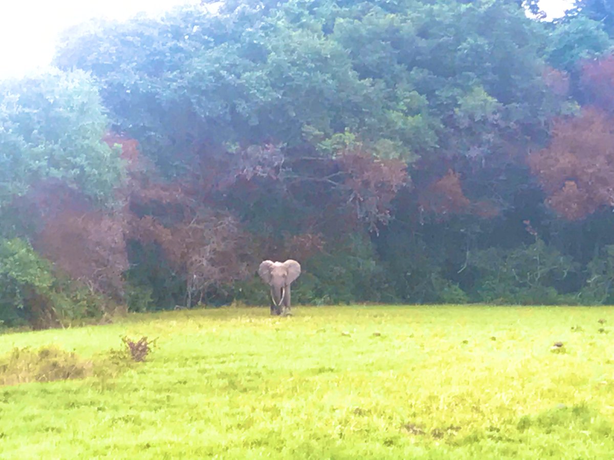 GaelleBiteghe's tweet photo. #MonGabon est tellement beau.... https://t.co/iSUnZBSygG