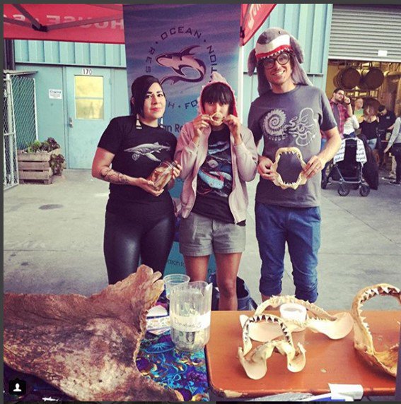 DrakesDBH's tweet photo. ONE WEEK until our Sharktoberfest First Friday, benefitting the Pacific Shark Research Center 🦈🍻 Come learn about marine wildlife and drink beer all at the same time! https://t.co/SJYKxgaPFK