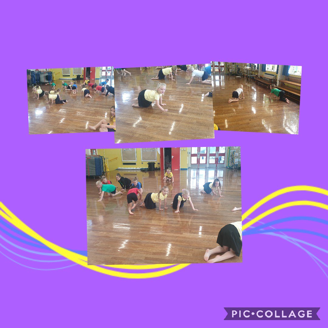 In our PE sessions this week we acted out the animals in our story 'Mrs Wishy-Washy.' Can you tell who was a cow? Who was a pig? And who was the duck? Ask your children to tell you the story...