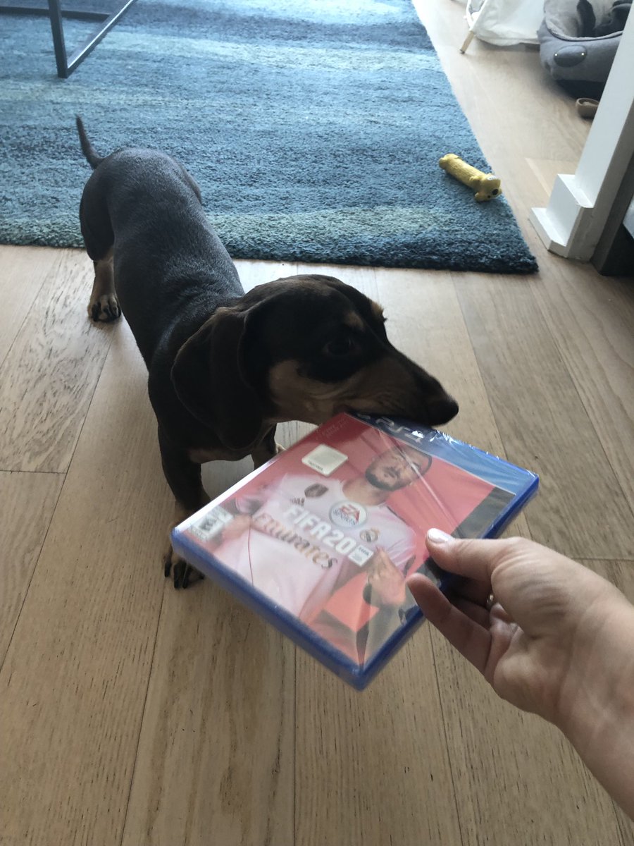 grant_246's tweet image. Got mine as well, Albert is testing it out for me before I get home.