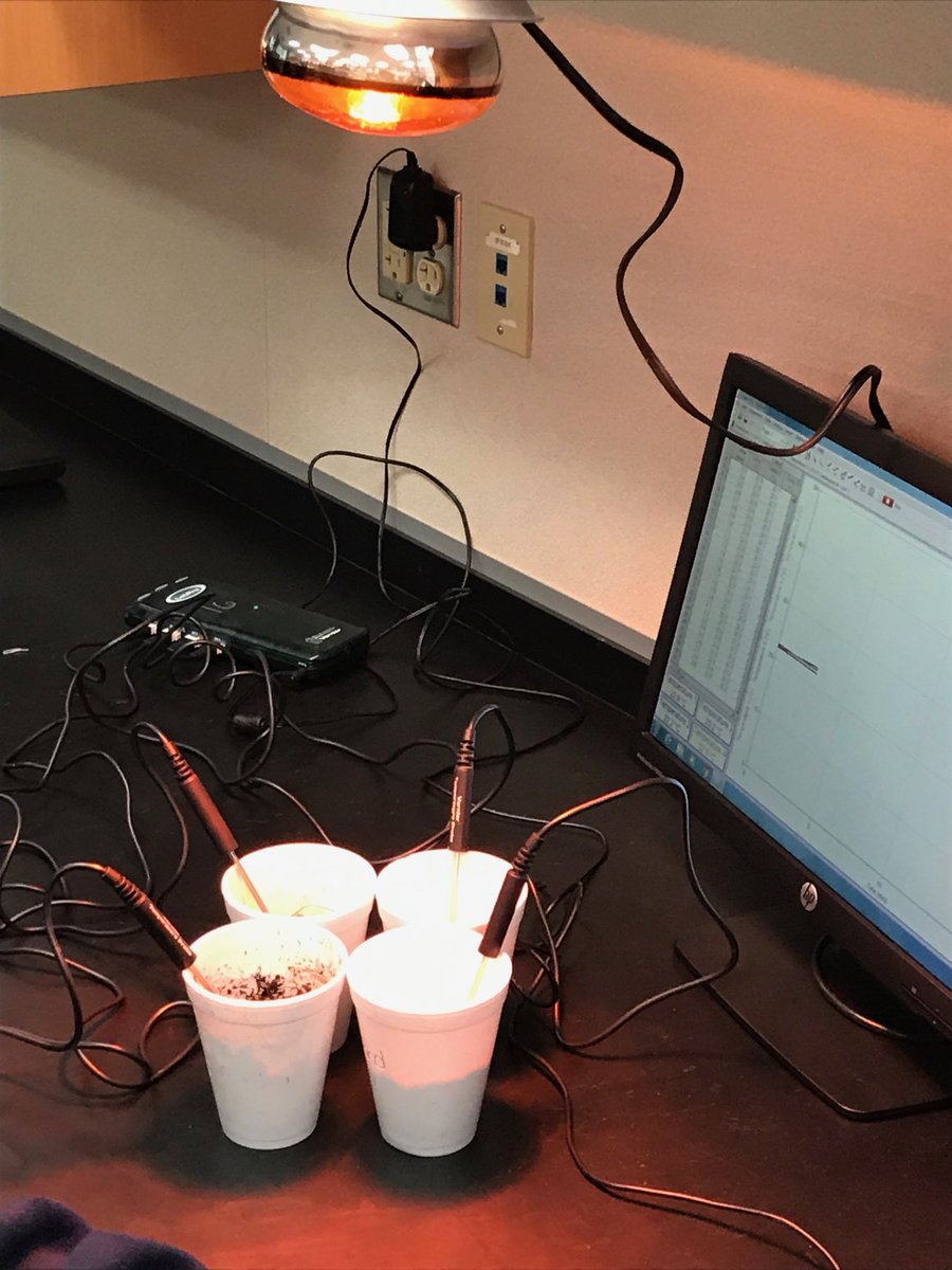 JWBowlz's tweet photo. Learning with my science colleagues ⁦@ArgumentDriven⁩ during the BEST S day ever! #erhsbatgb #erhstweets #erhsscience https://t.co/2ie4Okv9fq