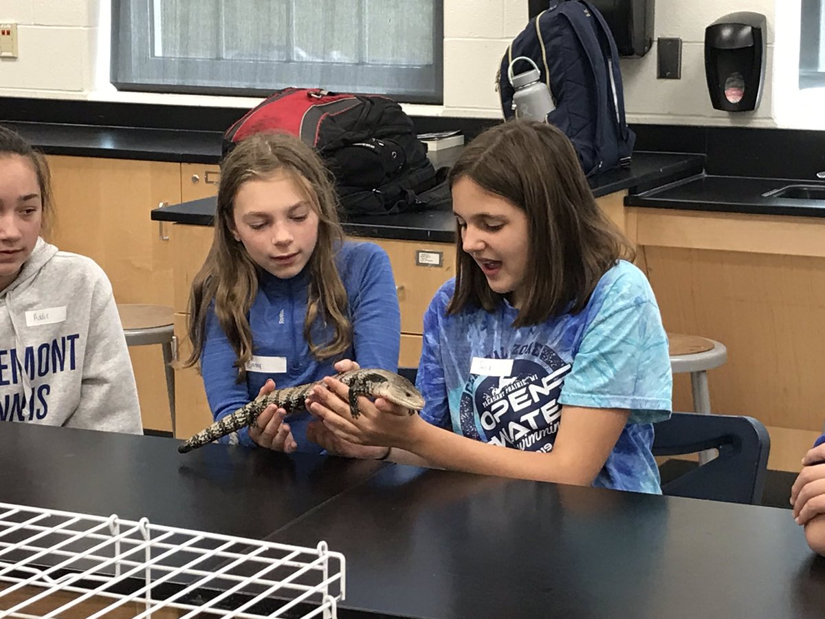 MrsBarzi11's tweet image. #allaboutanimals #happyfriday #learningisawesome