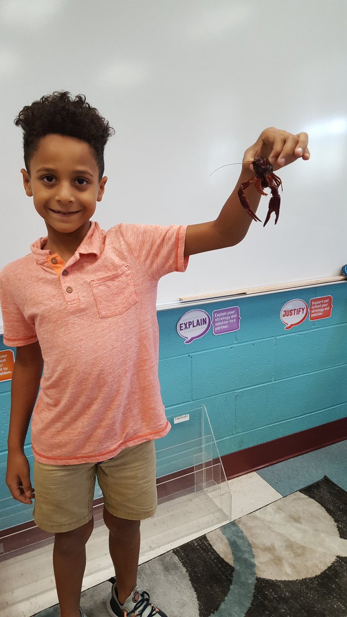BHomeroom's tweet photo. We learned much about the structures of crayfish!!🦂 @GreenValleyElem https://t.co/TDmdGybGyN