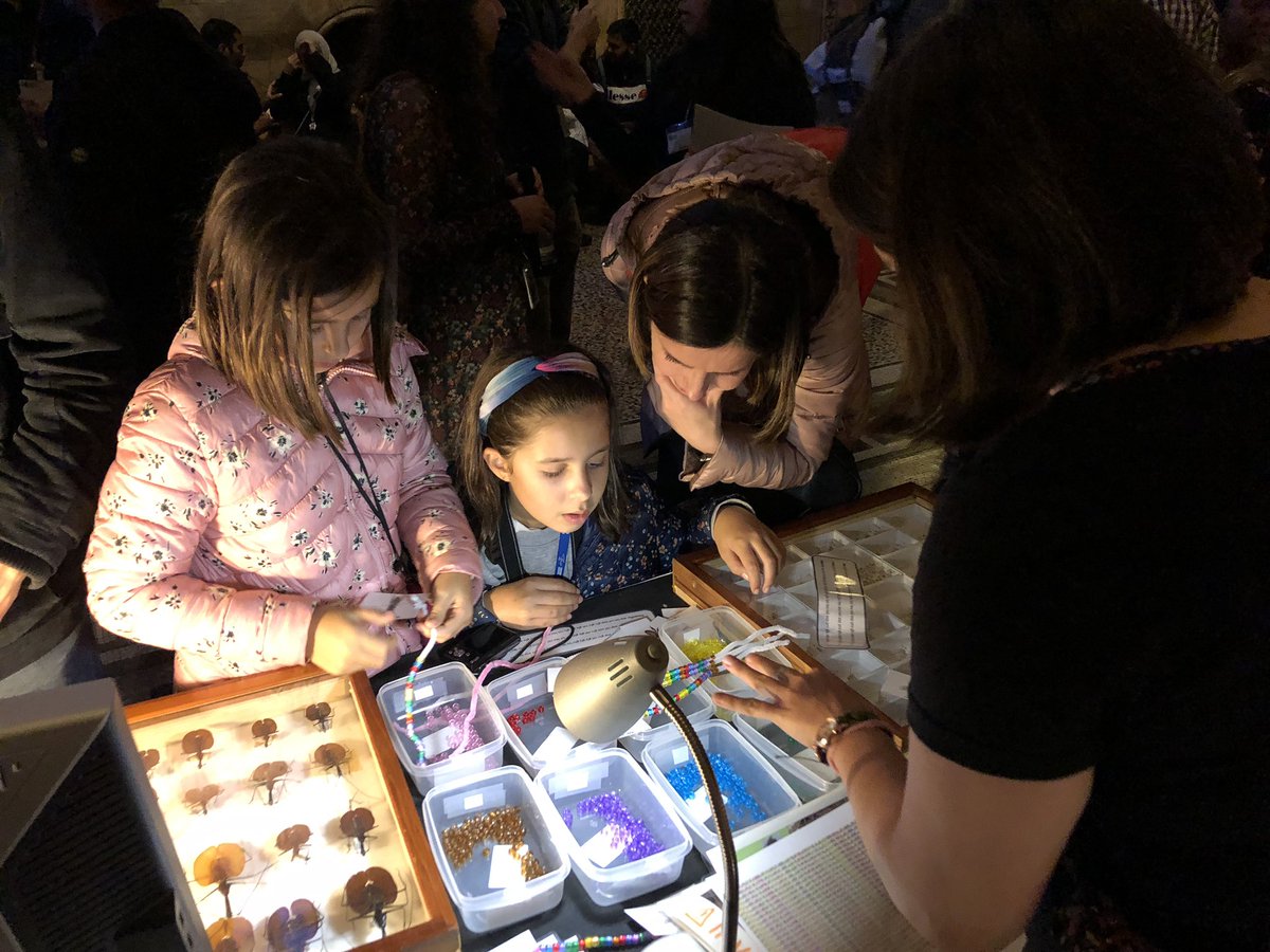 Beetlephylo's tweet photo. Itโs the DNA generation game! Who doesnโt love pipecleaners, beads and DNA!? ๐งฌ #MSCAnight #NHM #voglerlab https://t.co/IS9Wvs0B5Z