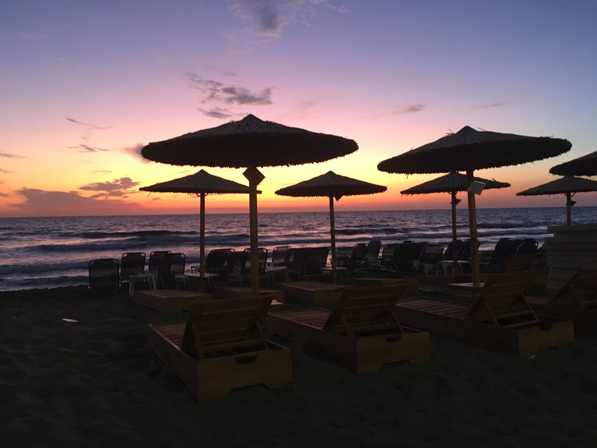 Watching the cats of Greece stare at tourists gobbling there food up reminds me of Podlings and Skeksils of Dark Crystal. Fantasy indulgence &amp; Solo travel before shit gets real!