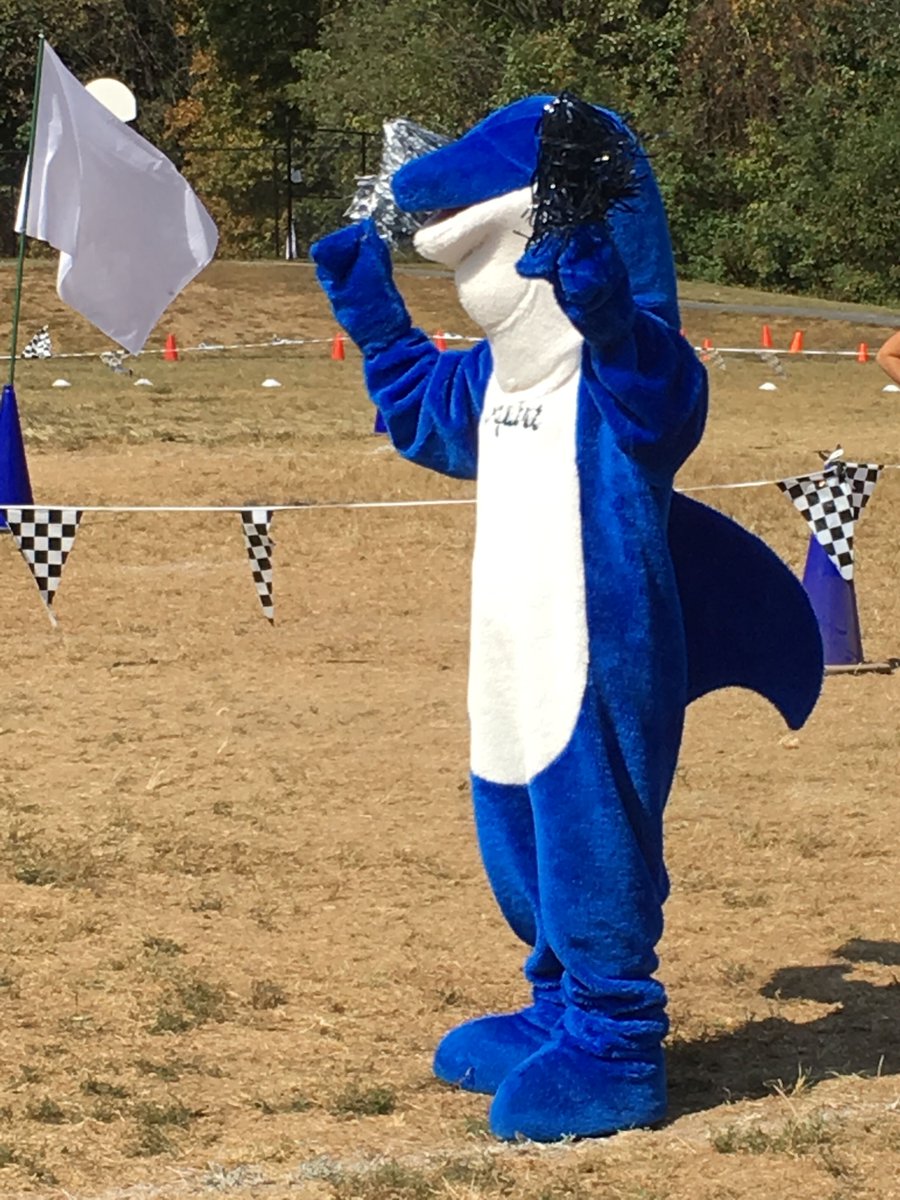 SandersCornerLibrary tweet media