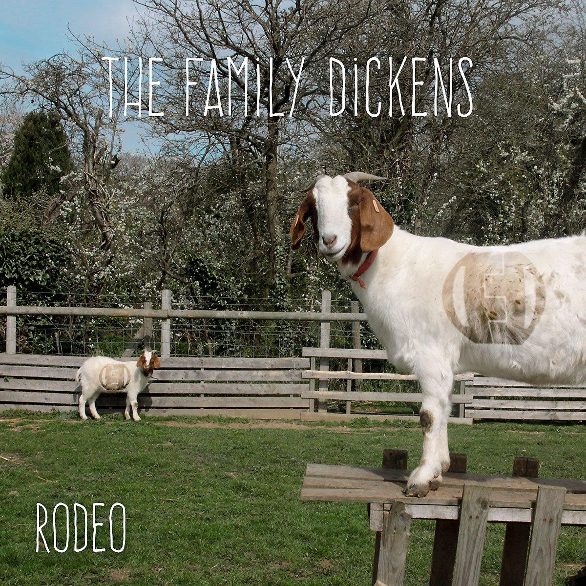 🚨 RODEO IS OUT NOW 🚨

You can now buy or stream Rodeo on all good digital platforms!

We've included the most popular platforms on this link for you: thefamilydickens.com/rodeo

#newmusic #altcountry #alternative #country #rock #deadcountry #punktry #rodeo #thefamilydickens