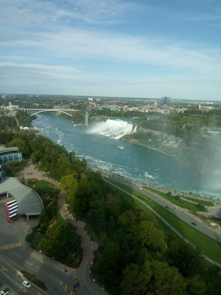 VINNY PAZ tweet media