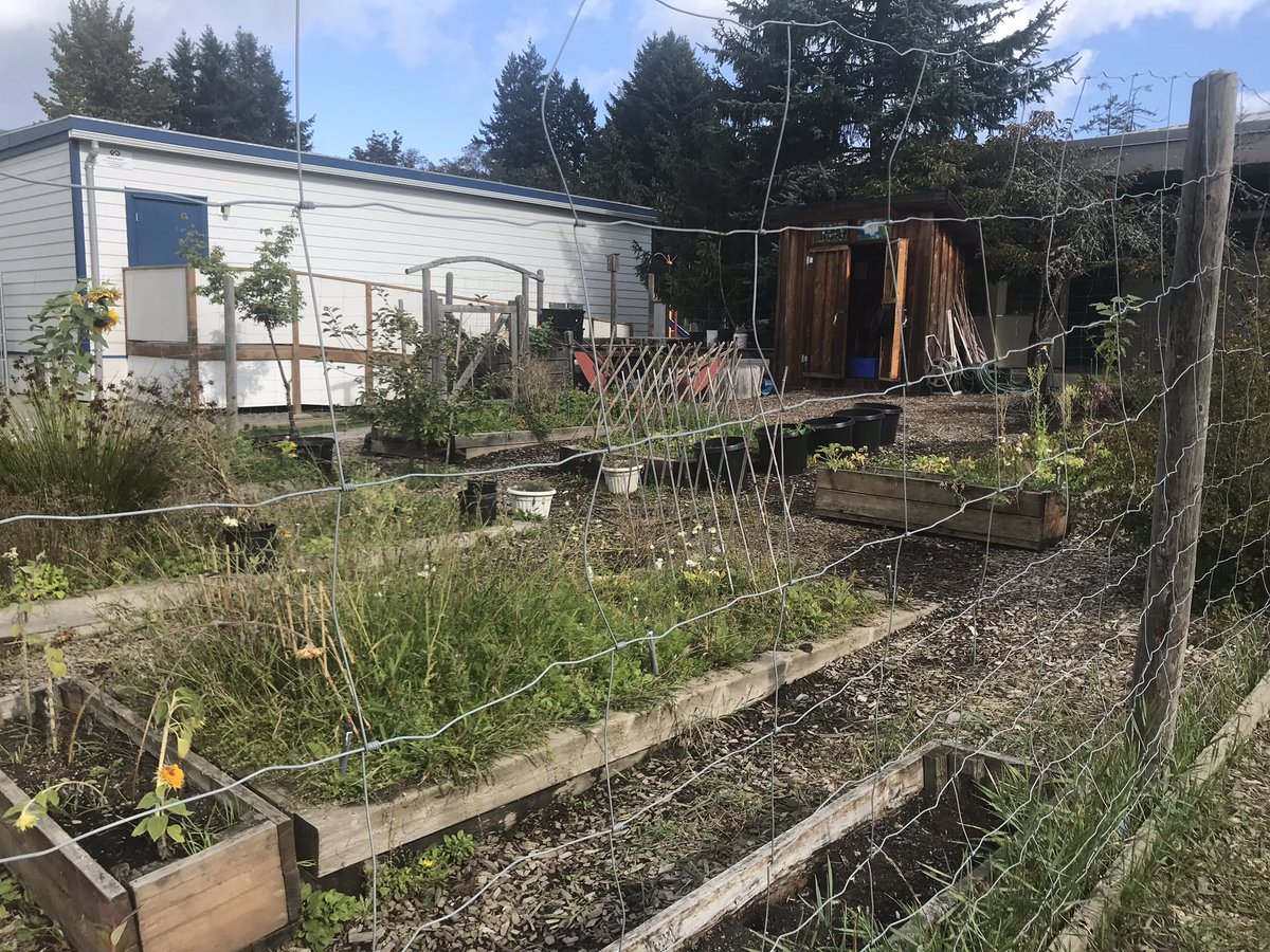 DaveWEberwein's tweet photo. Outdoor learning spaces @SD63PLake Elem - blending the outdoors with the spirit of learning, playing and growth @sd63schools https://t.co/HTr4gLaTY6