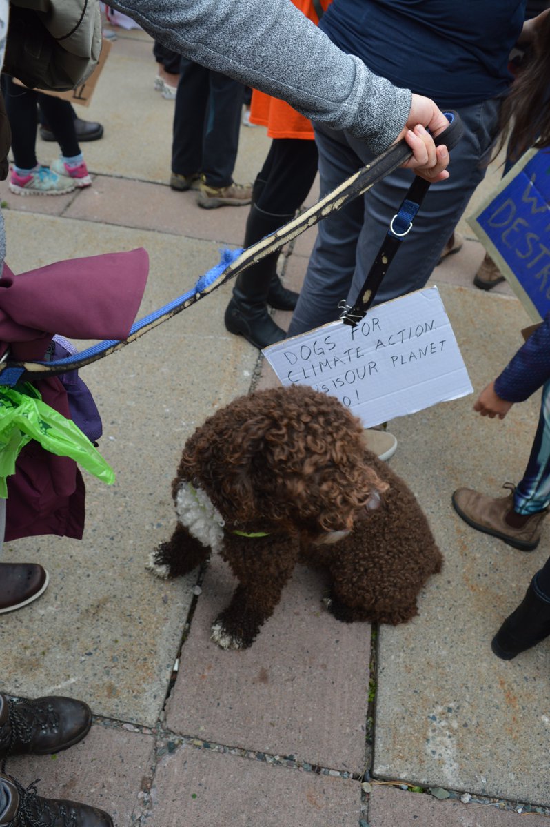 MUNFLA_Archive's tweet photo. Paws up for #ClimateAction! 

#ClimateStrike #FridaysForFuture #ClimateStrikeNL https://t.co/za7UZgNXFJ