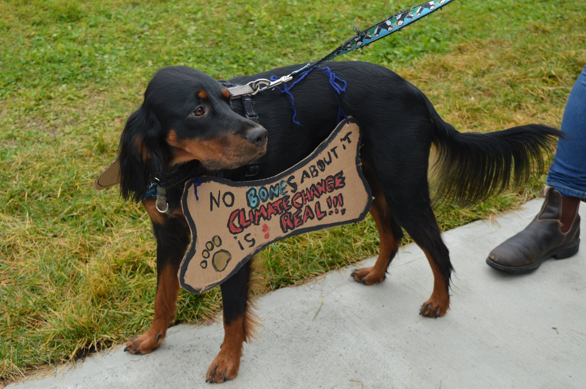 MUNFLA_Archive's tweet photo. Paws up for #ClimateAction! 

#ClimateStrike #FridaysForFuture #ClimateStrikeNL https://t.co/4PLwJgLlfi