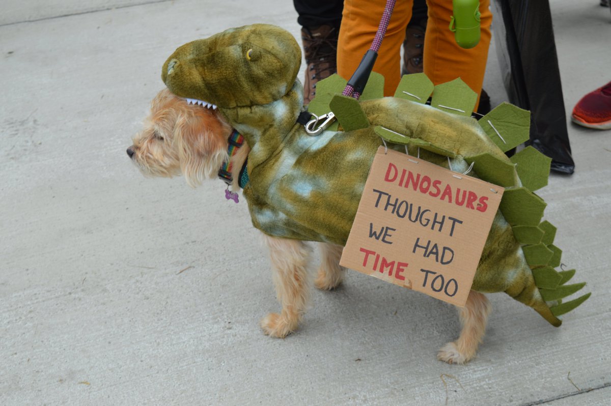 MUNFLA_Archive's tweet photo. Paws up for #ClimateAction! 

#ClimateStrike #FridaysForFuture #ClimateStrikeNL https://t.co/4PLwJgLlfi