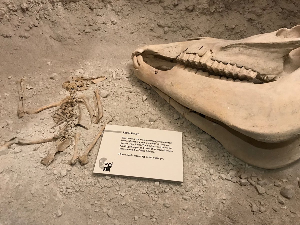 BUOsteo's tweet photo. Out and about today with our new MSc Bioarchaeology #bonegeeks and @Durotrigesdig thinking about people and animals and their lives, landscapes, deaths and deposition. Also... LEGO DANEBURY @AndoverMuseum ‘Iron Age is awesome 🎶🎵’ https://t.co/LnAn5dwETM