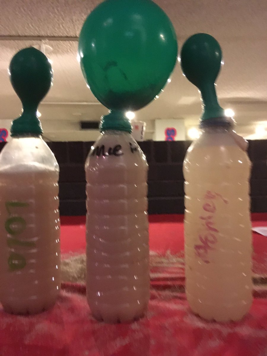 gavinmcstay2's tweet photo. @PotteriesMuseum #scienceatnight #yeast race - Francesca and Ronnie May are in the lead #metabolism https://t.co/yQ2LjOGx73