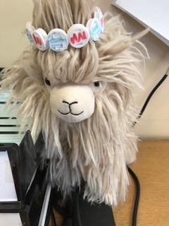 LiamHorkan's tweet photo. #NHSplasticArt a paper weight, braclet and a necklace made from patient wrist band connectors. Time for change @Team_ESNEFT new wristbands being implemented, over 330,000 connectors being removed from waste stream @dayforaction @ClareNash20 @pdchealthcare #clinicalprocurement https://t.co/JubV4AezCY
