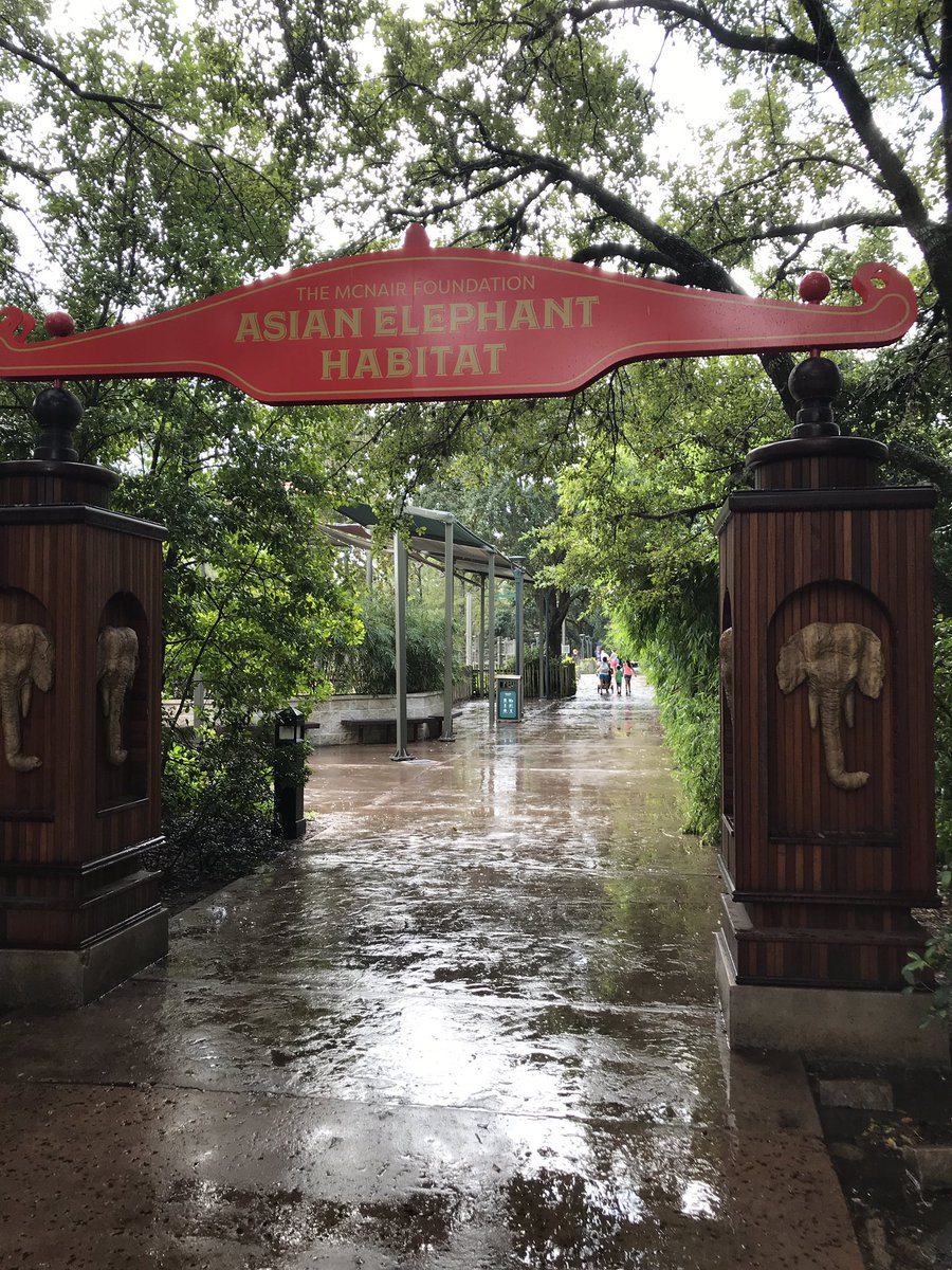 microbeMinded's tweet photo. So much great science this morning at our departmental retreat at the @houstonzoo, plus #ElephantEncounters never get old! @bcmhouston @BCM_Microbiome #microbiome #virology #pathogens #immunology #MVMretreat19 https://t.co/xggRN6tgwE