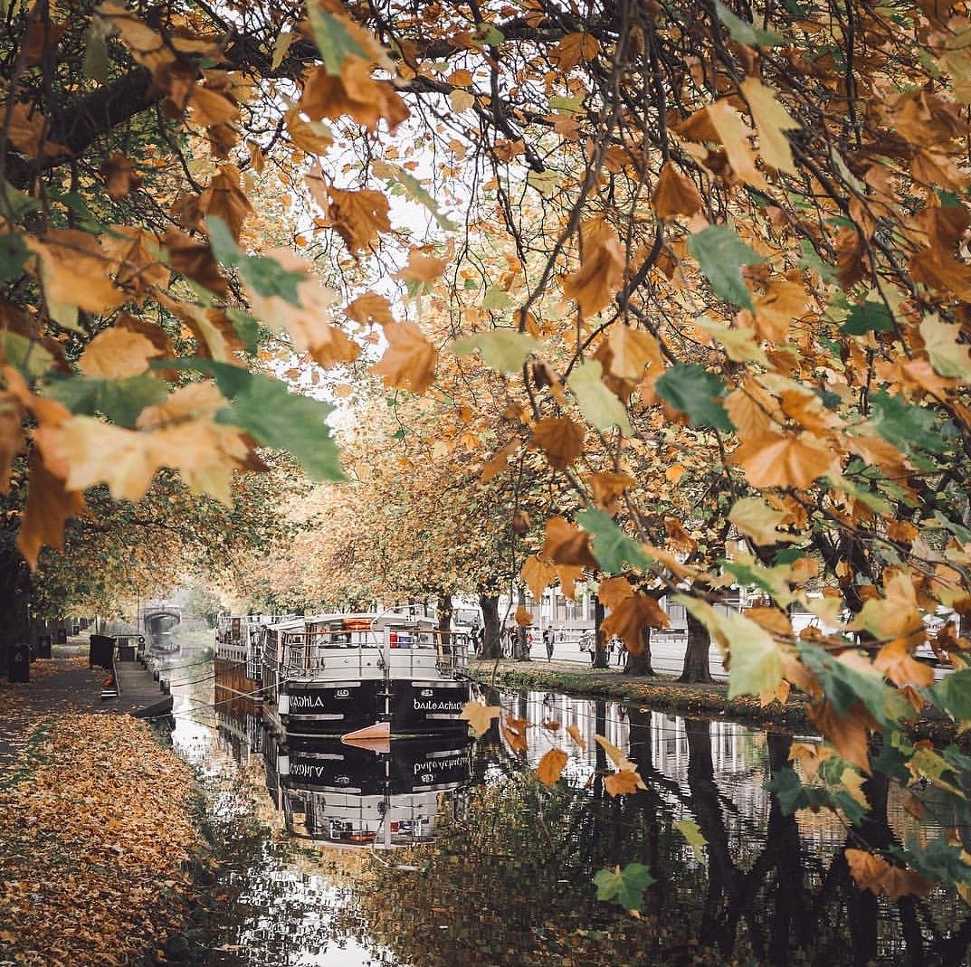 MVCadhla's tweet photo. The most beautiful part of Dublin city in Autumn 🐿🍂Join us onboard for a dinner cruise this October.
.
.
Pic by @antppe .
.
#canalboatrestaurant #dinnercruise #mespilroad #grandcanal #lovedublin #autumndublin https://t.co/OvZxWW2FZe