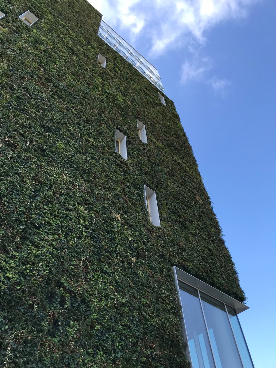 bbnadviseurs's tweet photo. “C2C materialen hoeven niet duurder te zijn dan traditionele bouwmaterialen” aldus Michel Wijers van @C2CExpoLAB “een C2C mindset, dat maakt circulair bouwen mogelijk!” vanmiddag bij de bijeenkomst over circulair bouwen in stadskantoor Venlo https://t.co/tkOReAZIZu https://t.co/SBnKj8R42j