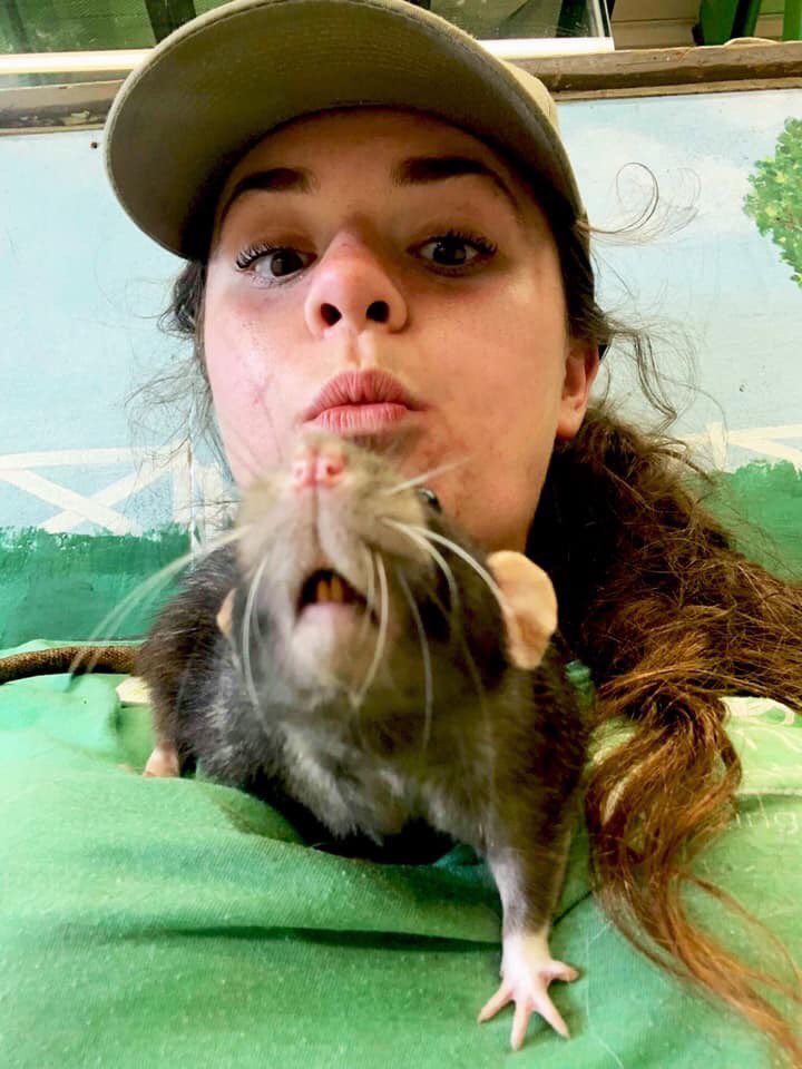 lambsfarm's tweet photo. Happy #CreatureFeatureFriday from Roquefort! https://t.co/Y5au0XlN4F
