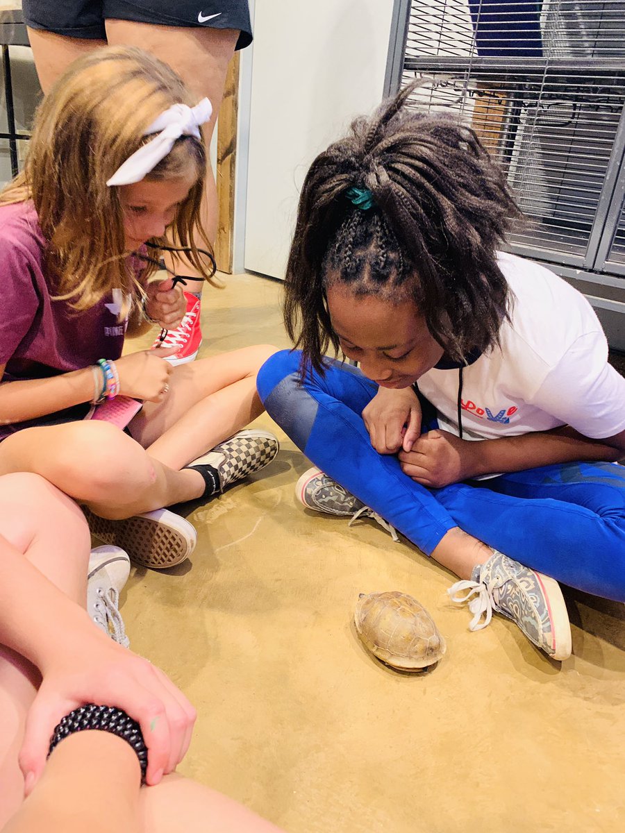 L Matias tweet media