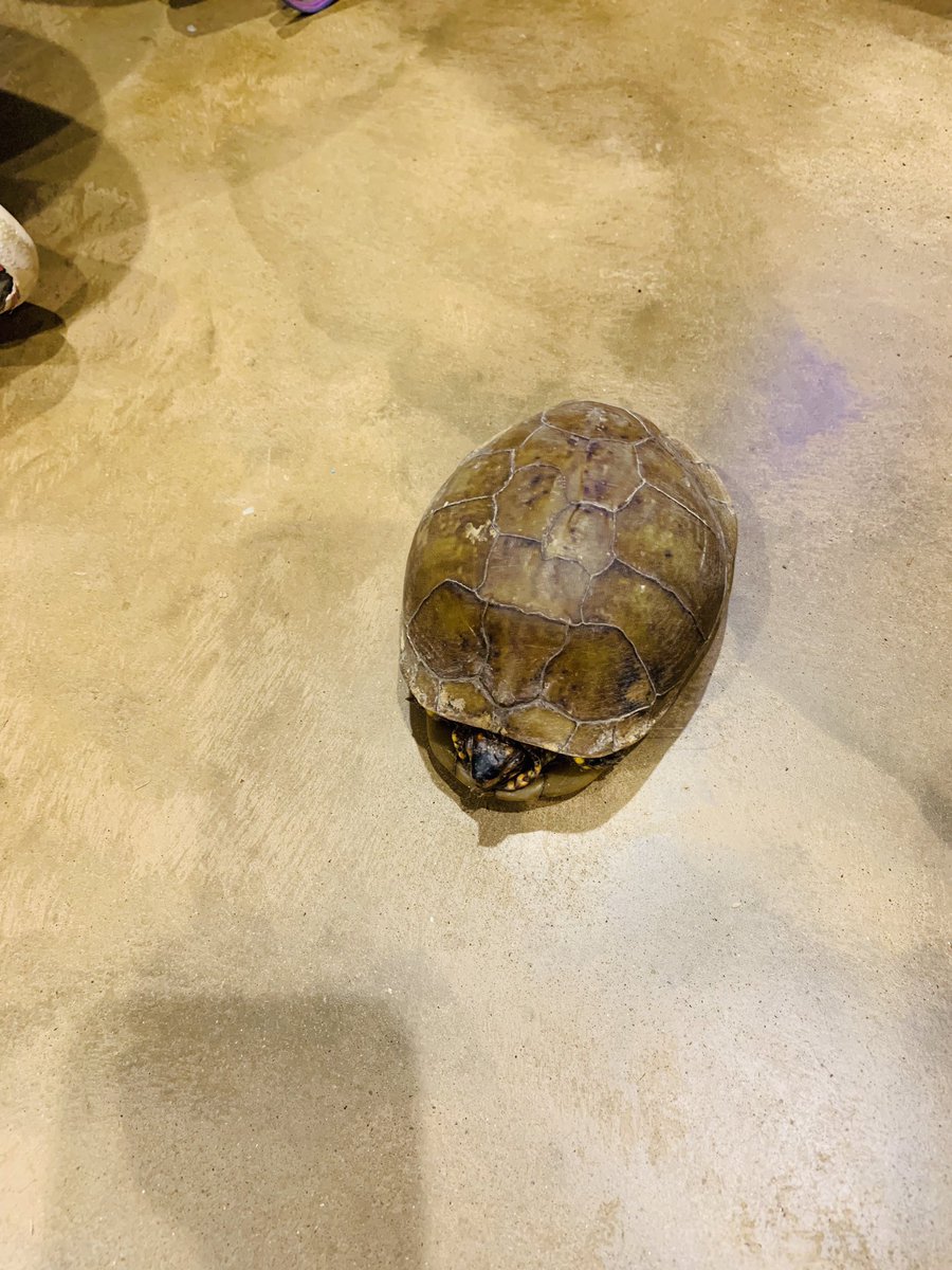 L Matias tweet media