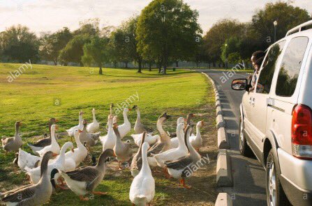 Persónulega finnst mer alveg ágætt að fara með bílinn í endurskoðun