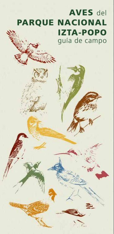 CONABIO's tweet photo. Descarga sin costo la Guía de aves del Parque Nacional Izta - Popo  https://t.co/ObJpA2ahYs https://t.co/TLs1mSr3YJ