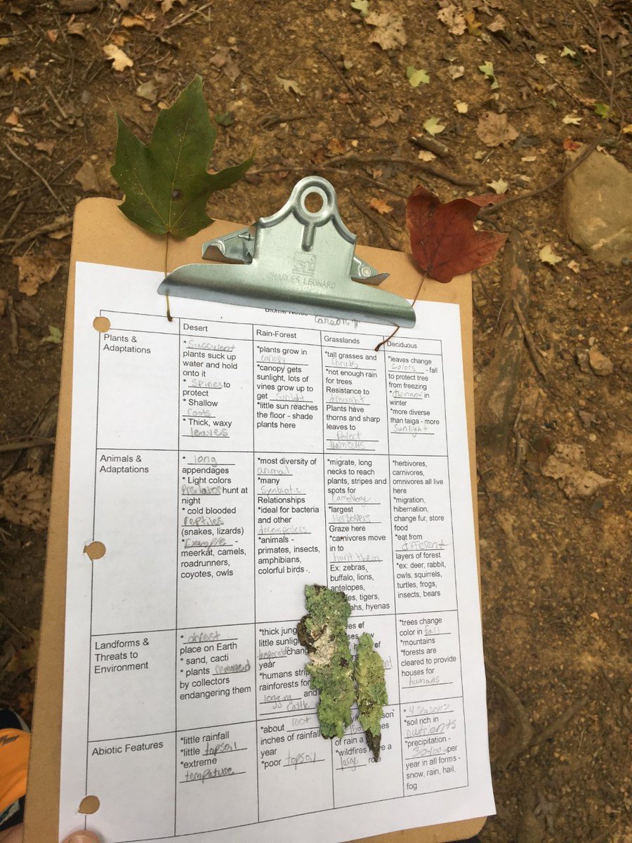 sciencemsparker's tweet photo. Halfway through a unit on biomes and finally learning about the deciduous forest biome where we live! Spent our class outside today searching for evidence of plants adapting to the changing temperatures #CCL #OneTribe https://t.co/NuWRSVhBVt