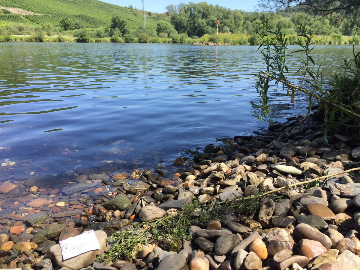 Ruth_HBroadbent's tweet photo. My recent #FiveRiversLine taking rubbings of riverside ground &amp; in water. Looking for route from A to B*, the connecting rivers became obvious choice reflecting their importance both now &amp; historically
#artandenvironment #artinnature #drawing #drawingwater #wildswim #cycletouring https://t.co/UqKgAgNXRY