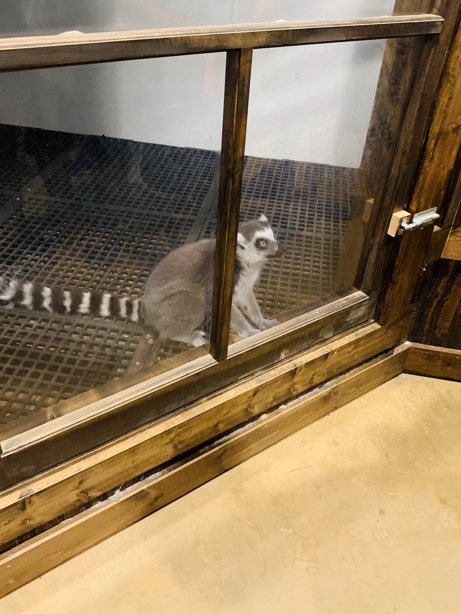 L Matias tweet media