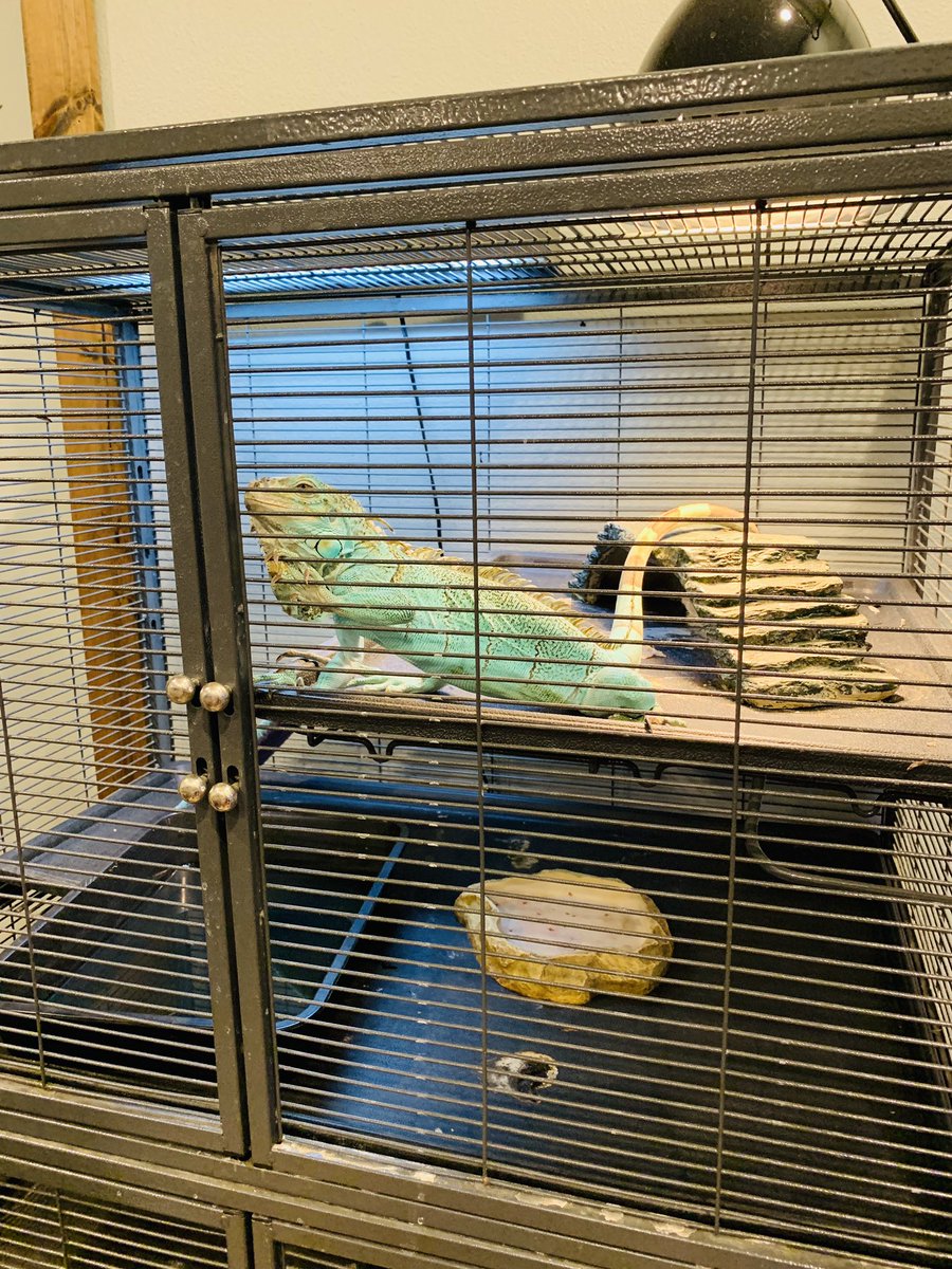 L Matias tweet media